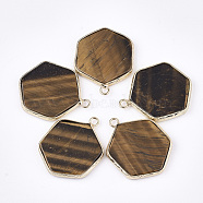Natural Tiger Eye Pendants, with Brass Findings, Hexagon, Golden, 30~31x24~25x2~3mm, Hole: 2mm(G-S344-89E)