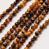 Natural Tiger Eye Round Bead Strands, 3mm, Hole: 0.8mm, about 126pcs/strand, 16 inch(G-A130-3mm-E03)