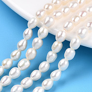 Natural Cultured Freshwater Pearl Beads Strands, Rice, Seashell Color, 6~7x5~5.5mm, Hole: 0.7~0.8mm, about 28~29pcs/strand, 7.09 inch(18cm)(PEAR-N012-05L)