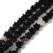 Natural Black Agate Beads Strands, Star, 6x5.5x2mm, Hole: 0.8mm, about 75pcs/strand, 14.57 inch(37cm)(G-G085-B42-02)