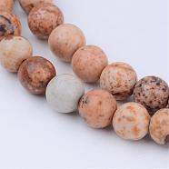 Natural Picture Jasper Beads Strands, Round, 8~8.5mm, Hole: 1mm, about 47pcs/strand, 15.5 inch(G-Q462-8mm-35)