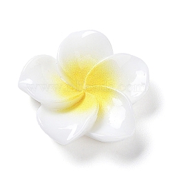 Opaque Resin Cabochons, Plumeria Flower, WhiteSmoke, 20x20.5x6.5mm(X-RESI-G068-02F)