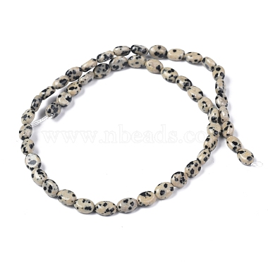 Chapelets de perles en jaspe dalmatien naturelle(G-Z006-A31)-2