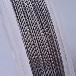 Non-Tarnish Tiger Tail Wire, Stainless Steel Wire, Stainless Steel Color, 0.5mm, about 15m/roll(TWIR-D001-02A)