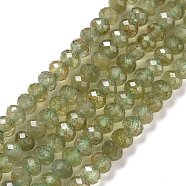 Natural Apatite Beads Strands, Faceted, Rondelle, 4x3mm, Hole: 0.7mm, about 130pcs/strand, 15.35''(39cm)(G-E194-04)