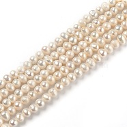 Natural Cultured Freshwater Pearl Beads Strands, Potato, Bisque, 4.5x4~5.5mm, Hole: 0.5mm, about 80pcs/strand, 13.78 inch(35cm)(PEAR-L033-03-01)
