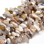 Natural Botswana Agate Nuggets Beads Strands, 8~30x5~12mm, Hole: 1mm, about 15.3 inch~15.7 inch(G-E271-04)