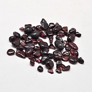Garnet Chip Beads, No Hole/Undrilled, 2~8x2~4mm, about 340pcs/20g(X-G-O103-15)