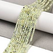 Natural Prehnite Beads Strands, Round, Faceted, 2.5mm, Hole: 0.7mm, about 172pcs/strand, 15.35''(39cm)(G-B107-A07-02)