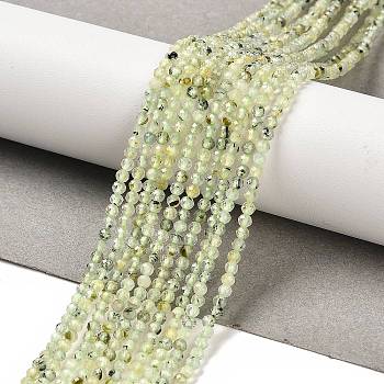 Natural Prehnite Beads Strands, Round, Faceted, 2.5mm, Hole: 0.7mm, about 172pcs/strand, 15.35''(39cm)