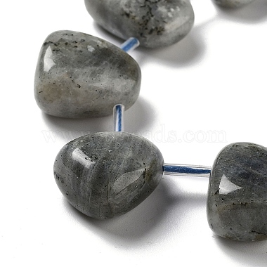 Natural Labradorite Beads Strands(G-P528-E10-01)-3