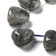 Natural Labradorite Beads Strands(G-P528-E10-01)-3
