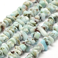 Natural Larimar Beads Strands, Chip, 2~4x7~8mm, Hole: 1mm, 15.7 inch(40cm)(X-G-P302-03)