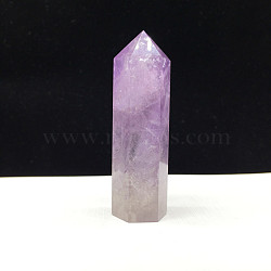 Point Tower Natural Amethyst Home Display Decoration, Healing Stone Wands, for Reiki Chakra Meditation Therapy Decos, Hexagon Prism, 70~80mm(PW23030648643)