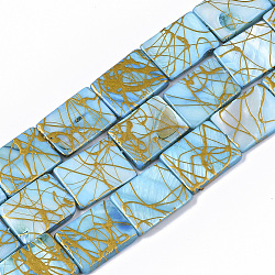 Drawbench Freshwater Shell Beads Strands, Dyed, Rectangle, Deep Sky Blue, 19~20.5x14.5~15.5x2.5~3.5mm, Hole: 1mm, about 20pcs/Strand, 15.55 inch(SHEL-T014-006)