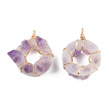 Natural Amethyst Pendants, with Aluminium Wire Wrapped, Ring Charm, Golden, 49~50x36.5~43x21~23.5mm, Hole: 3.5mm