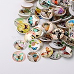 Butterfly Printed Glass Half Round/Dome Cabochons, Mixed Color, 12x4mm(X-GGLA-N004-12mm-C)
