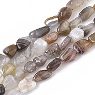 Natural Botswana Agate Beads Strands, Nuggets, Tumbled Stone, 5~11x5~8x3~6mm, Hole: 0.8mm, about: 52~56pcs/Strand, 15.94 inch(40.5cm)(G-S363-043)