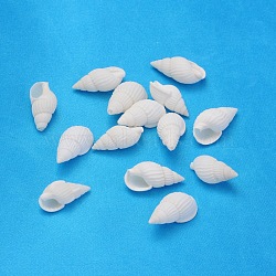 Natural Trumpet Shell Beads, Mixed, White, 19~25x10~15x8~11mm, Hole: 1mm(X-BSHE-S061)