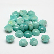 Dome Natural Amazonite Cabochons, 10x3~5.5mm(G-O146-02D)