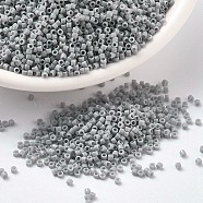 MIYUKI Delica Beads, Cylinder, Japanese Seed Beads, 11/0, (DB1139) Opaque Ghost Gray, 1.3x1.6mm, Hole: 0.8mm, about 2000pcs/10g(X-SEED-J020-DB1139)