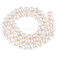 1 Strand Natural Cultured Freshwater Pearl Beads Strands, Round, PeachPuff, 7~8mm, Hole: 0.8mm, about 48pcs/strand, 13.38 inch(PEAR-NB0001-23B)