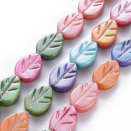 Electroplated Natural Freshwater Shell Beads Strands, Dyed, Leaf, Mixed Color, 10x7x3mm, Hole: 0.8mm, about 35pcs/strand, 13.98 inch(35.5cm)(SHEL-N026-166B-01)