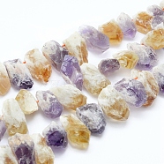 Natural Citrine and Amethyst Beads Strands, Top Drilled Beads, Rough Raw Stone, Nuggets, 15~38x10~16mm, Hole: 2mm, about 30~34pcs/strand, 15.75 inch(40cm)(G-L551C-03)