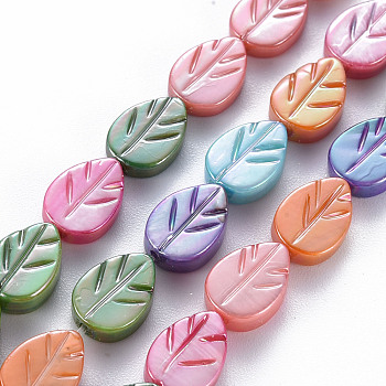 Electroplated Natural Freshwater Shell Beads Strands, Dyed, Leaf, Mixed Color, 10x7x3mm, Hole: 0.8mm, about 35pcs/strand, 13.98 inch(35.5cm)