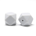 Food Grade Eco-Friendly Silicone Beads, Faceted Cube, Light Grey, 14x14x14mm, Hole: 2mm(X-SIL-Q009B-71)