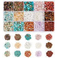 3000Pcs 15 Styles Natural & Synthetic Gemstone Chip Beads, No Hole/Undrilled, 2~8x2~4mm, 200pcs/style(G-AR0005-80)