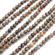 Natural Silver Crazy Agate Round Beads Strands, 4mm, Hole: 0.7mm, about 90pcs/strand, 15.5 inch(G-N0166-34-4mm)