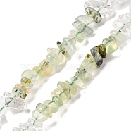 Natural Quartz Crystal & Prehnite Beads Strands, Chip, 4~17x4~10x1~8mm, Hole: 0.8~1mm, about 15.35~16.14 inch(39~41cm)(G-L610-A03-01)