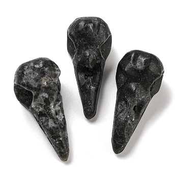 Natural Druzy Black Quartz Pendants, Bird Head Skull Charms, 47~49x20~22x20~22mm, Hole: 2~2.5mm
