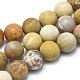 Natural Fossil Coral Beads Strands(G-I254-01B)-1