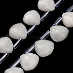 Natural Rainbow Moonstone Beads Strands, Faceted Teardrop, with Plastic Tube Beads, 12x12~12.5x5.5~6mm, Hole: 1mm, about 28pcs/strand, 15.75 inch(40cm)(G-C292-A01-01)