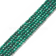 Natural Malachite Beads Strands, Faceted, Round, 2mm, Hole: 0.5mm, about 197pcs/strand, 15.35 inch(39cm)(G-G989-A06-A)
