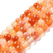 Natural Carnelian Beads Strands, Round, 8mm, Hole: 1mm, about 45pcs/strand, 15 inch(G-N0006-8mm-17)