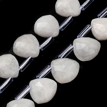 Natural Rainbow Moonstone Beads Strands, Faceted Teardrop, with Plastic Tube Beads, 12x12~12.5x5.5~6mm, Hole: 1mm, about 28pcs/strand, 15.75 inch(40cm)