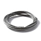 Tiger Tail Wire(TWIR-WH0006-01)-2