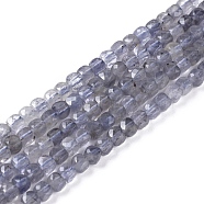Natural Iolite/Cordierite/Dichroite Beads Strands, Faceted, Cube, 4x4x4mm, Hole: 0.6mm, about 101pcs/strand, 15.35 inch(39cm)(G-L537-027)