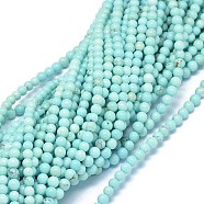 brins de perles de magnésite naturelle, teints et chauffée, arrondir, 4 mm, trou: 0.5 mm, environ 93~94 pcs / brin, 15.9~16.1 pouce (40.3~40.8 cm)(G-F604-04-4mm)