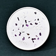 Twelve Constellations Plaster Coaster, with Amethyst Clips, Flat Round, Pisces, 100mm(PW-WG28707-12)