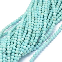 Natural Magnesite Beads Strands, Dyed & Heated, Round, 4mm, Hole: 0.5mm, about 93~94pcs/strand, 15.9~16.1 inch(40.3~40.8cm)(G-F604-04-4mm)