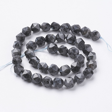 Natural Black Larvikite Beads Strands(G-J376-47A-10mm)-2