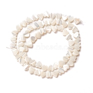 Natural Trochid Shell/Trochus Shell Beads, Peach Heart, Seashell Color, 6.5x6.5x2~2.5mm, Hole: 0.8mm, about 67pcs/strand, 17.15 inch(43.55cm)(SSHEL-O001-27A)