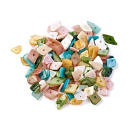 Shell Beads, Dyed, Nuggets Chips, Mixed Color, 6.2~15.2x4.3~7.3x0.4~3.8mm, Hole: 1mm(BSHE-I008-13)