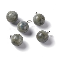 Natural Labradorite Pendants, with Platinum Tone Brass Findings, Round Charm, 22x18mm, Hole: 3x6mm(G-G926-02P-07)