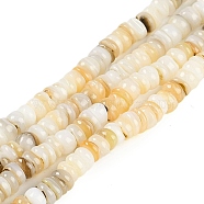 Natural Freshwater Shell Beads Strands, Rondelle, Floral White, 5.5~6x2~3.5mm, Hole: 0.8mm, about 150~155pcs/strand, 14.96~15.75''(38~40cm)(BSHE-H109-13B)