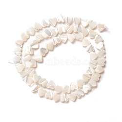 Natural Trochid Shell/Trochus Shell Beads, Peach Heart, Seashell Color, 6.5x6.5x2~2.5mm, Hole: 0.8mm, about 63~65pcs/strand, 16 inch(40cm)(SSHEL-O001-27A)